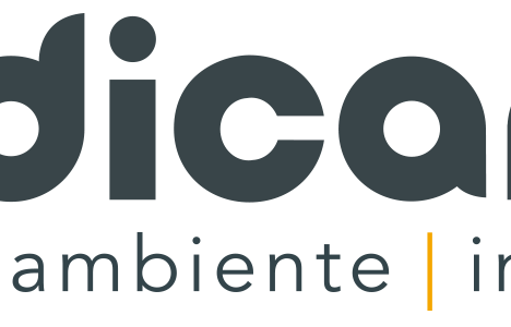 il nuovo logo Ludicando con l'identità grafica descritta